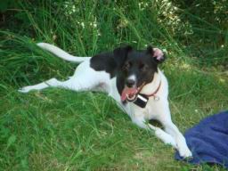 Resize of DSC01898.JPG